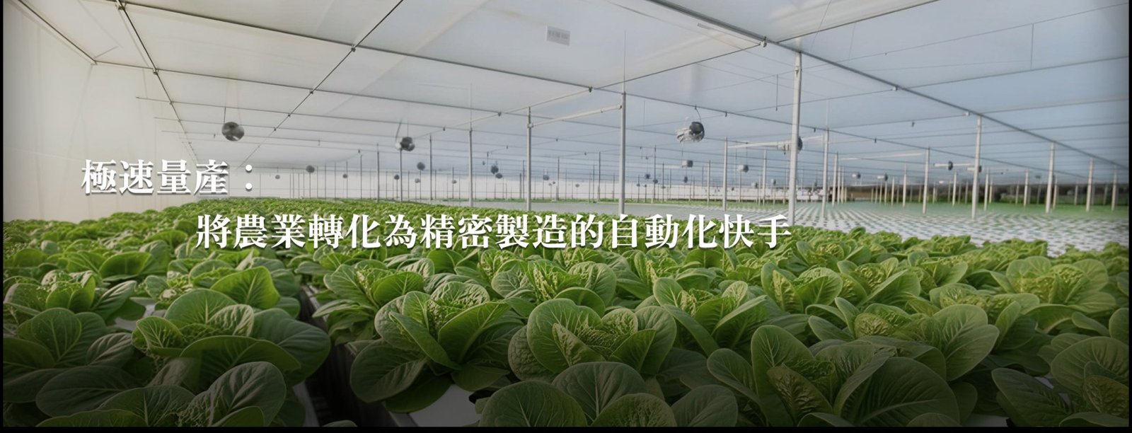 植物工廠
