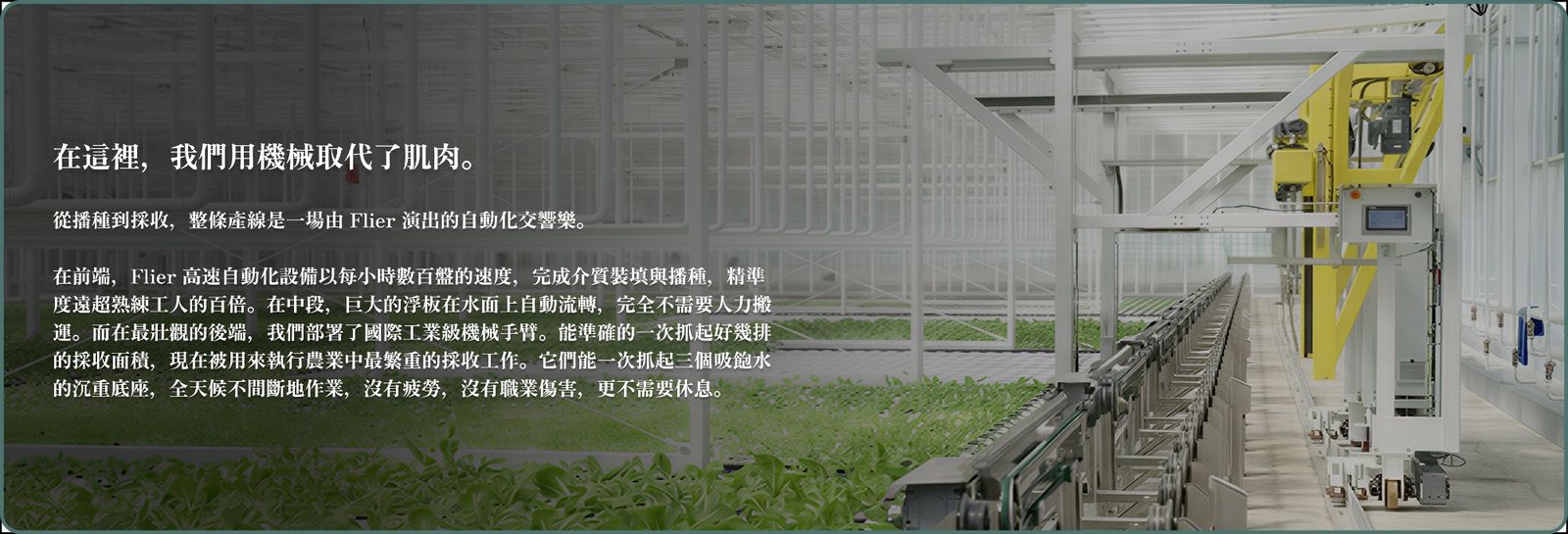 高速型自動化：不知疲倦的鋼鐵勞動力