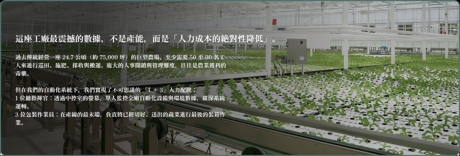 顛覆性的人力結構：1+3的極致精簡